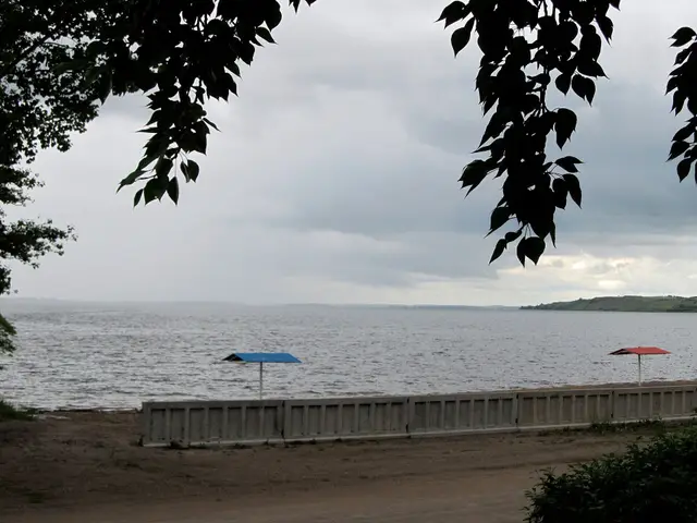 View of the lake from the shore